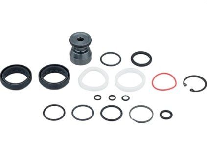 258529 rockshox am svc kit 200h 1yr domain r rc b1