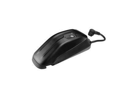 IPW1100101