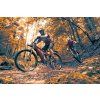 sada blatniku sks blade 29 27 5 black 4 o